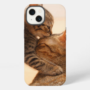 Cutest Baby Animals Tabby Kitten Kiss iPhone 13 Case