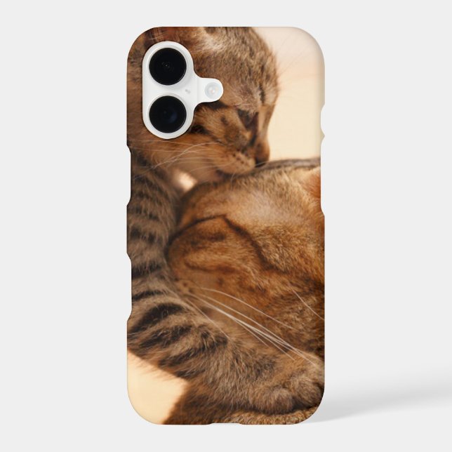 Cutest Baby Animals | Tabby Kitten Kiss iPhone Case (Back)