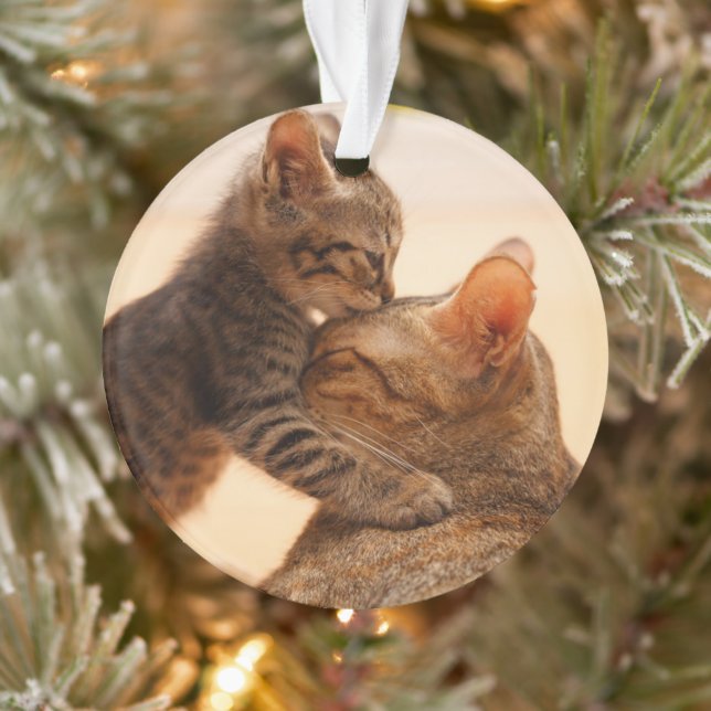 Cutest Baby Animals | Tabby Kitten Kiss Ornament (Tree)