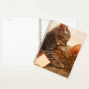 Cutest Baby Animals Tabby Kitten Kiss Planner
