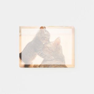 Cutest Baby Animals Tabby Kitten Kiss Post-it Notes