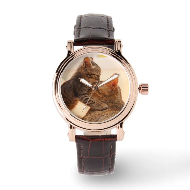Cutest Baby Animals | Tabby Kitten Kiss Watch (Front)
