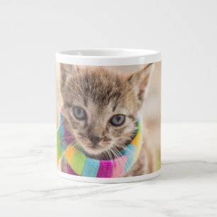 Cutest Baby Animals Tabby Kitten Rainbow Scarf Large Coffee Mug