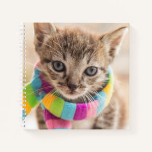 Cutest Baby Animals   Tabby Kitten Rainbow Scarf Notebook