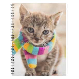 Cutest Baby Animals   Tabby Kitten Rainbow Scarf Notebook