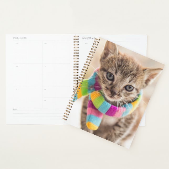 Cutest Baby Animals | Tabby Kitten Rainbow Scarf Planner (Display)