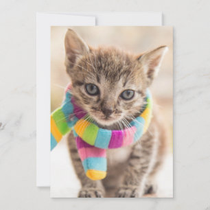 Cutest Baby Animals   Tabby Kitten Rainbow Scarf Thank You Card