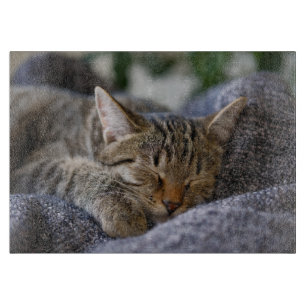 Cutest Baby Animals Tabby Kitten Sleeping Cutting Board