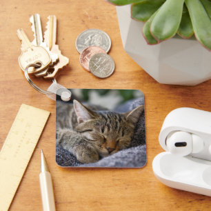 Cutest Baby Animals Tabby Kitten Sleeping Key Ring