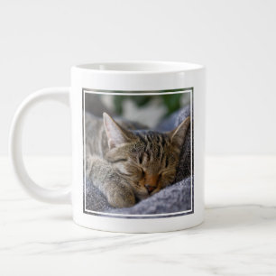 Cutest Baby Animals Tabby Kitten Sleeping Large Coffee Mug