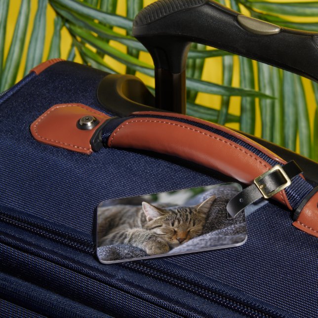 Cutest Baby Animals | Tabby Kitten Sleeping Luggage Tag (Front Insitu 3)