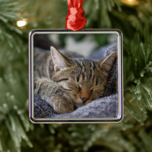 Cutest Baby Animals   Tabby Kitten Sleeping Metal Tree Decoration