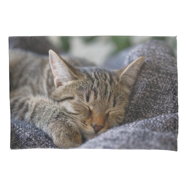 Cutest Baby Animals | Tabby Kitten Sleeping Pillowcase (Front)