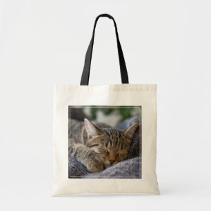 Cutest Baby Animals Tabby Kitten Sleeping Tote Bag