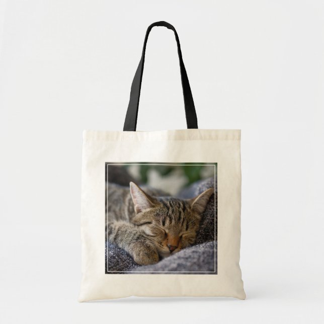Cutest Baby Animals | Tabby Kitten Sleeping Tote Bag (Front)
