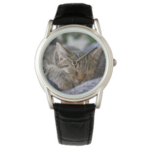 Cutest Baby Animals Tabby Kitten Sleeping Watch