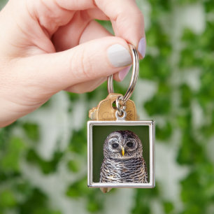 Cutest Baby Animals Tawny Owl Key Ring