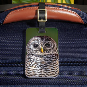 Cutest Baby Animals Tawny Owl Luggage Tag