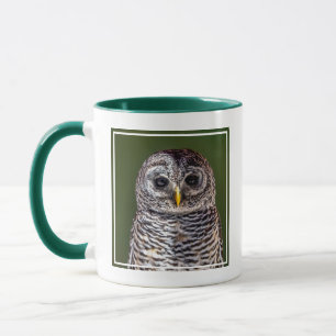 Cutest Baby Animals Tawny Owl Mug