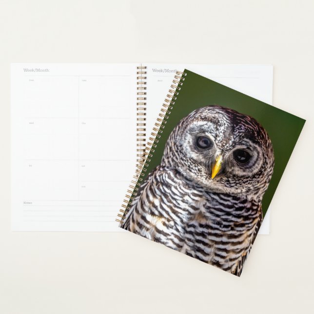 Cutest Baby Animals | Tawny Owl Planner (Display)