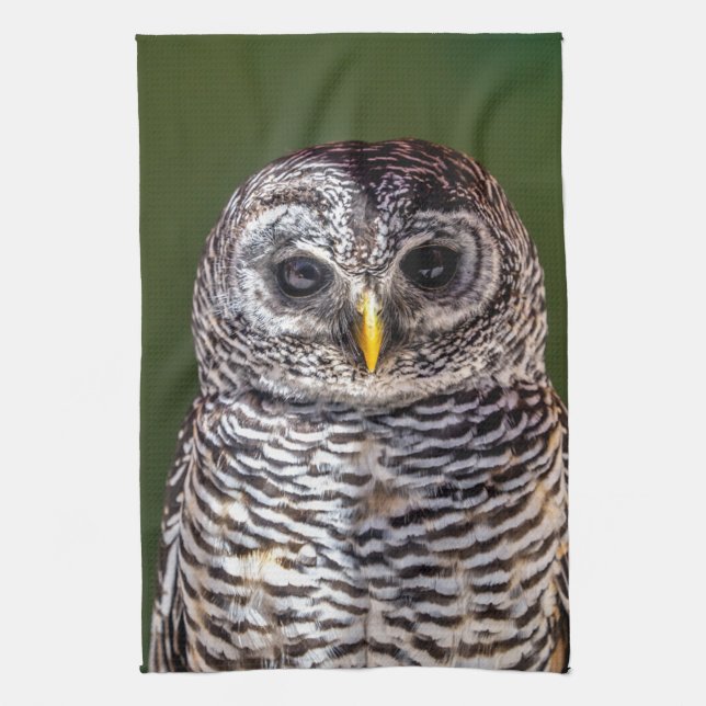 Cutest Baby Animals | Tawny Owl Tea Towel (Vertical)