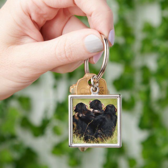 Cutest Baby Animals | Three Chimpanzees Hugging Key Ring (Hand)