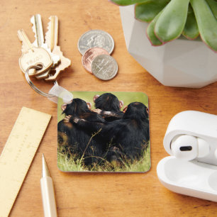 Cutest Baby Animals   Three Chimpanzees Hugging Key Ring