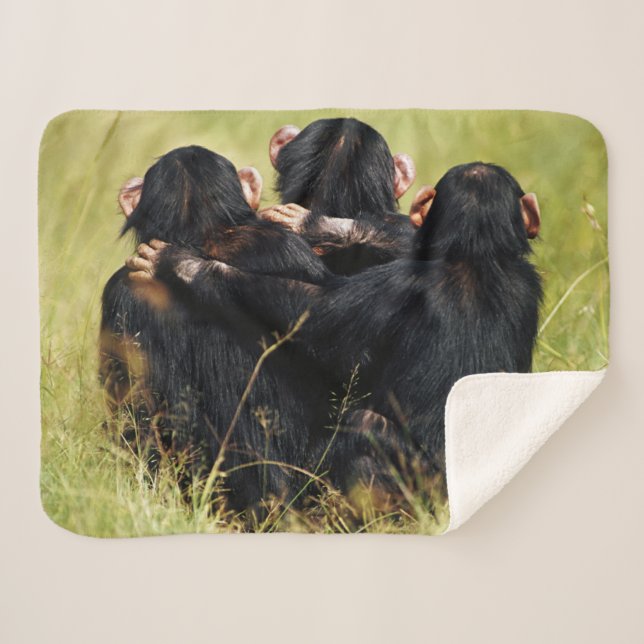 Cutest Baby Animals | Three Chimpanzees Hugging Sherpa Blanket (Front (Horizontal))