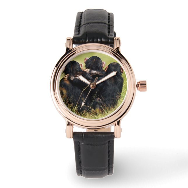 Cutest Baby Animals | Three Chimpanzees Hugging Watch (Front)