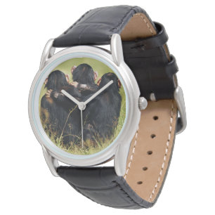 Cutest Baby Animals Three Chimpanzees Hugging Watch
