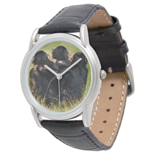 Cutest Baby Animals | Three Chimpanzees Hugging Watch (Angled)