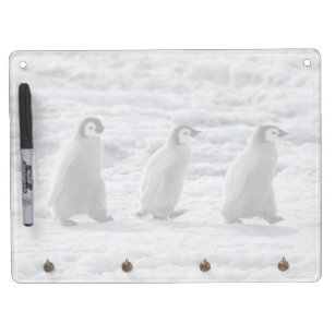 Cutest Baby Animals   Three Emperor Penguin Chicks Dry Erase Board With Key Ring Holder