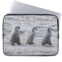 Cutest Baby Animals | Three Emperor Penguin Chicks