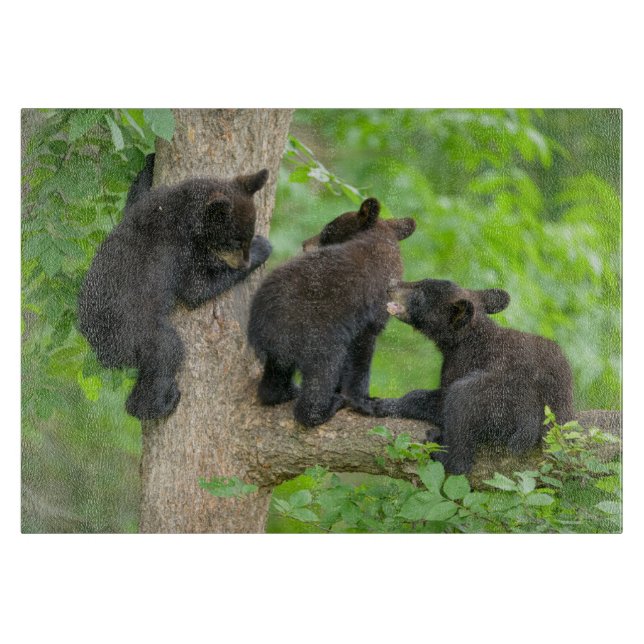 Cutest Baby Animals | Three Young Black Bear Cubs Cutting Board (Front)
