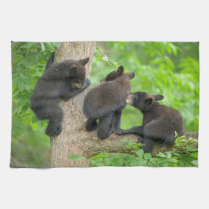 Cutest Baby Animals Three Young Black Bear Cubs Tea Towel