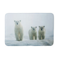 Cutest Baby Animals | Three Young Polar Bears
