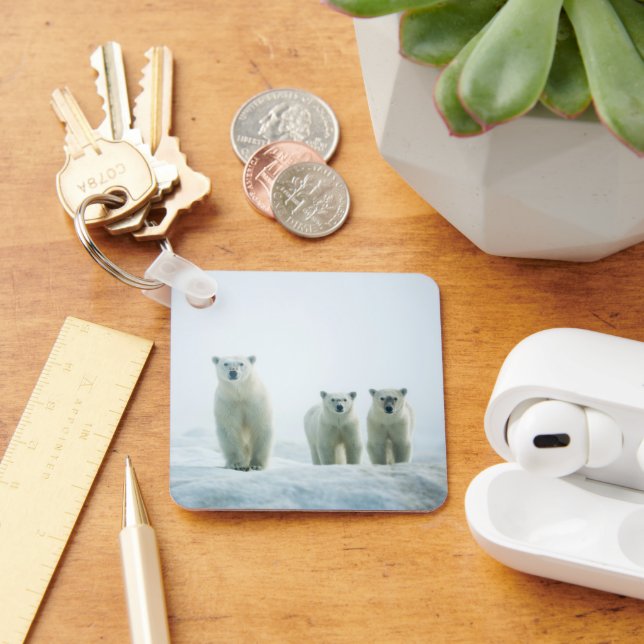Cutest Baby Animals | Three Young Polar Bears Key Ring (Desk)