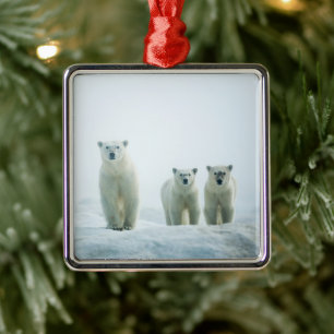 Cutest Baby Animals   Three Young Polar Bears Metal Tree Decoration