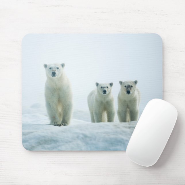 Cutest Baby Animals | Three Young Polar Bears Mouse Pad (With Mouse)