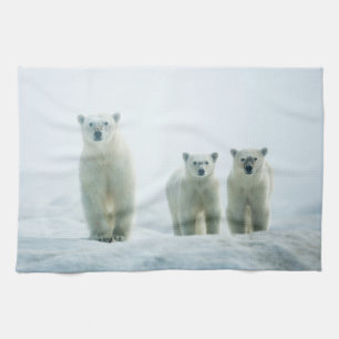 Cutest Baby Animals Three Young Polar Bears Tea Towel