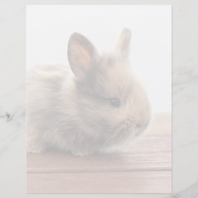 Cutest Baby Animals | Tiny Baby Bunny (Front)