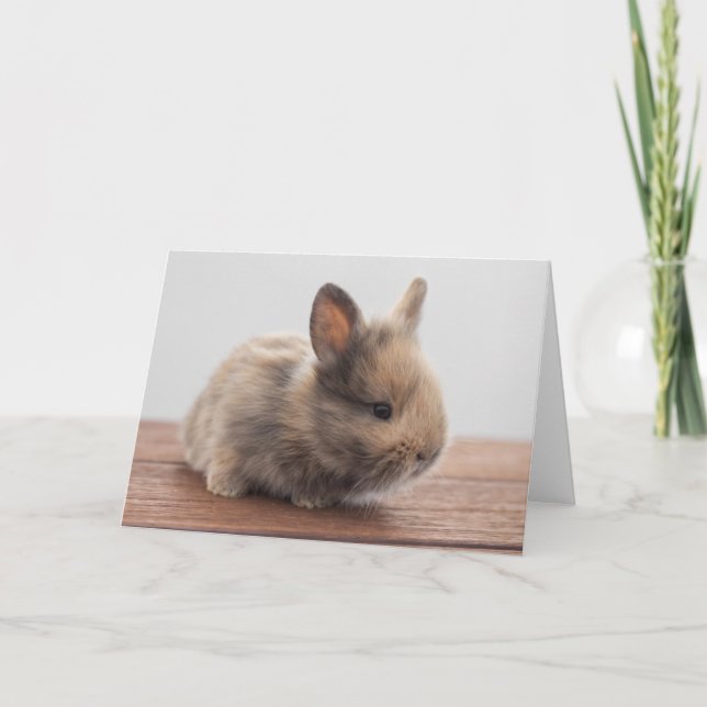 Cutest Baby Animals | Tiny Baby Bunny Card (Front)