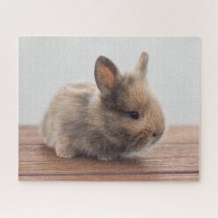 Cutest Baby Animals   Tiny Baby Bunny Jigsaw Puzzle