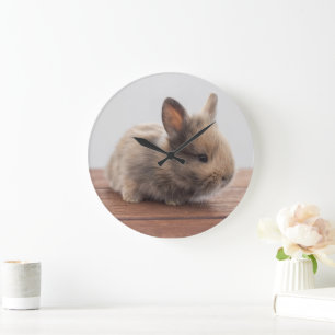 Cutest Baby Animals   Tiny Baby Bunny Large Clock