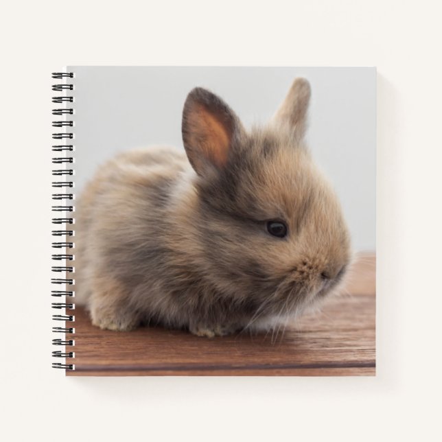 Cutest Baby Animals | Tiny Baby Bunny Notebook (Front)