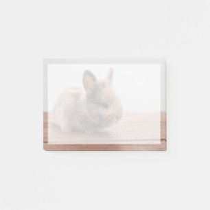 Cutest Baby Animals Tiny Baby Bunny Post-it Notes