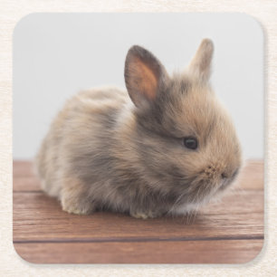 Cutest Baby Animals Tiny Baby Bunny Square Paper Coaster