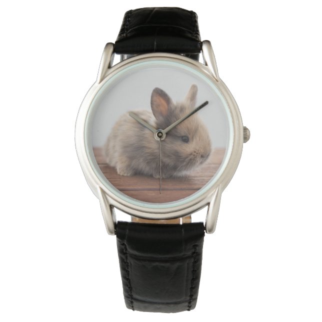 Cutest Baby Animals | Tiny Baby Bunny Watch (Front)
