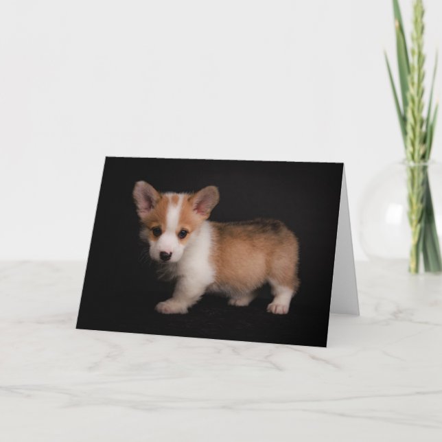 Cutest Baby Animals | Tiny Corgi Card (Front)