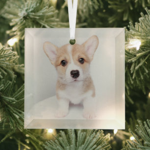 Cutest Baby Animals   Tiny Corgi Glass Tree Decoration
